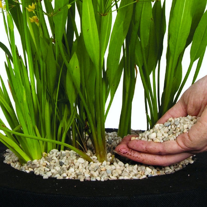 Kalmerend gereedschap blad Steentjes voor potplanten en vijver Velda vijvergrind, Pond Gravel 4/6 mm,  2 liter afdek steentjes Decoflorall